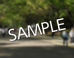 通勤通学に便利！船橋駅から徒歩5分の新築一戸建て特集